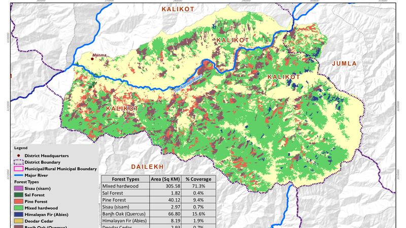 Forest  Type Map