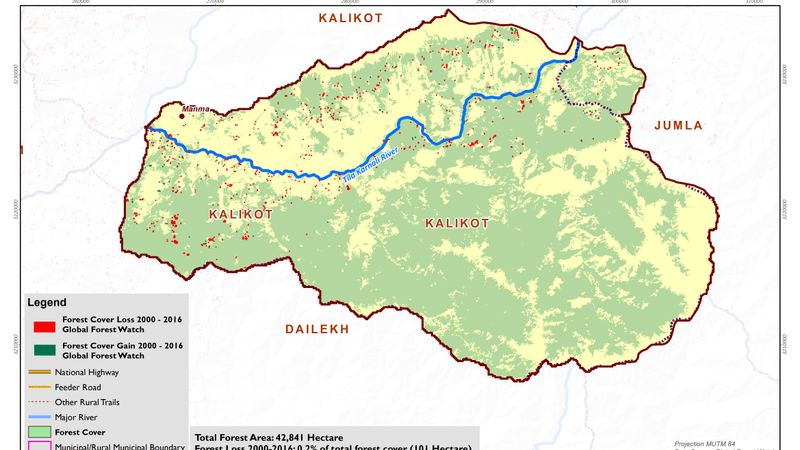 Forest Cover Loss and Gain between year 2000 to 2016