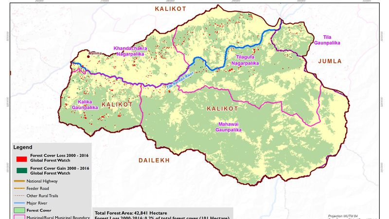 Forest Cover Loss and Gain between year 2000 to 2016