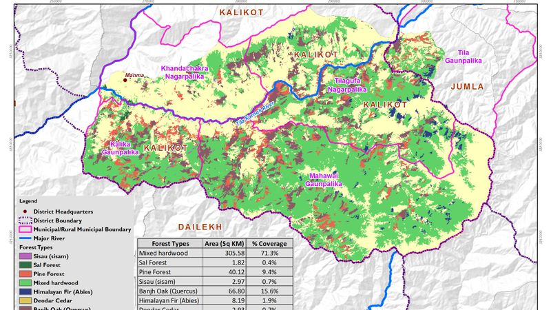 Forest  Type Map