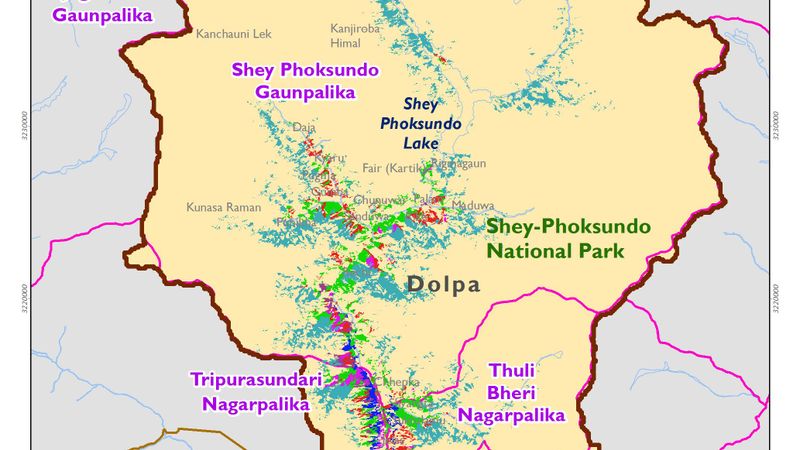 Forest Cover and Types