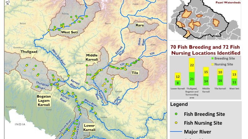 Fish Breeding and Nursing Locations Identified in 6 Watersheds of Karnali Basin