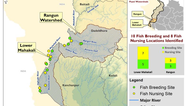 Fish Breeding and Nursing Locations Identified in 2 Watersheds of Mahakali Basin