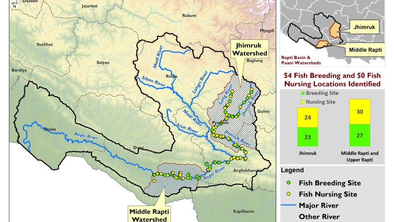 Fish Breeding and Nursing Locations Identified in 2 Watersheds of Rapti Basin