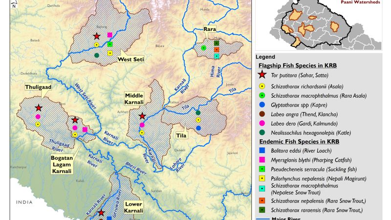 Flagship and Endemic Fish Species Identified in Watershed of Karnali River Basin