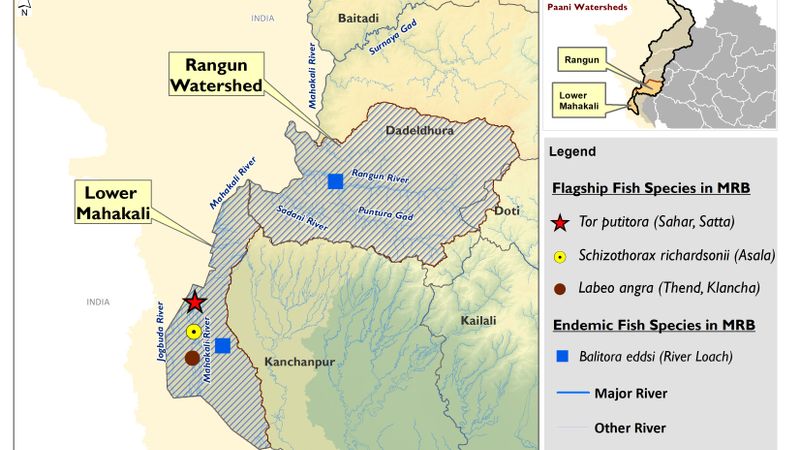 Flagship and Endemic Fish Species Identified in Watershed of Mahakali River Basin