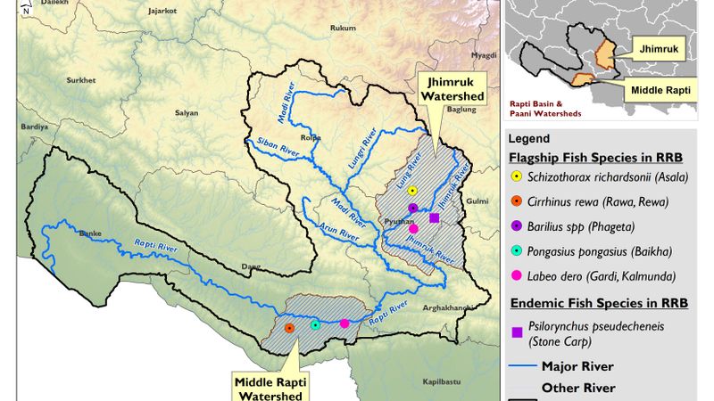 Flagship and Endemic Fish Species Identified in Watershed of Rapti River Basin